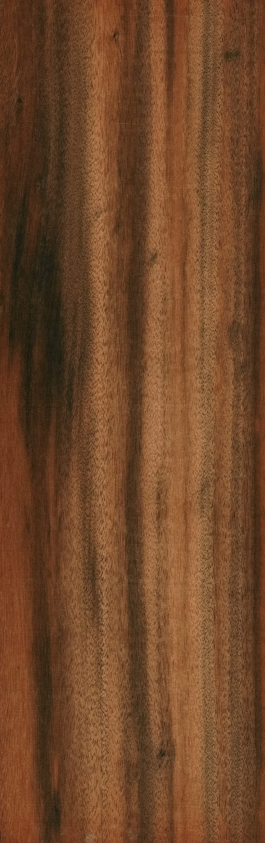 Tigerwood (Zebrawood)